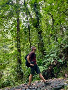 7fa8006a-1e1a-4367-8031-e958753dde27